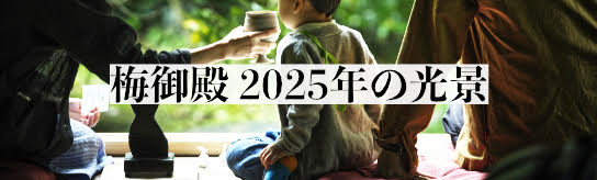 梅御殿2025の風景